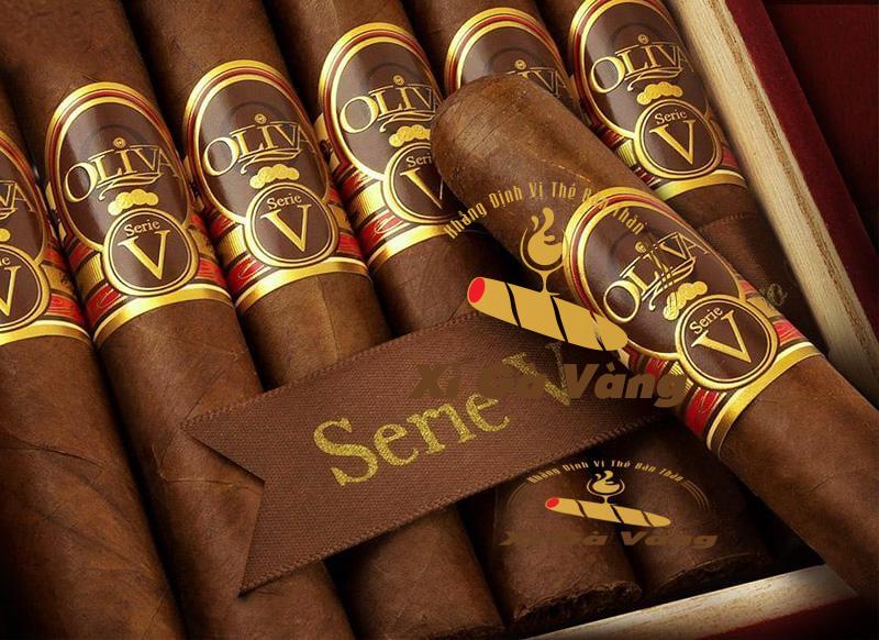 Xì gà Oliva Serie V Maduro Double Robusto có màu sẫm đẹp